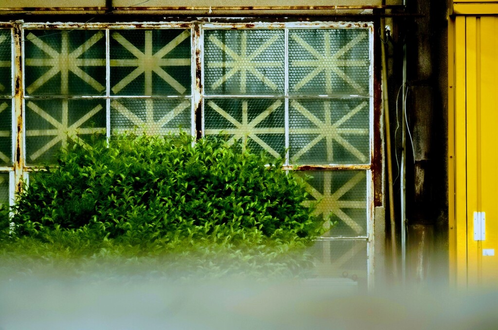 _DSC0416~3