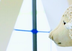 _DSC0692~2