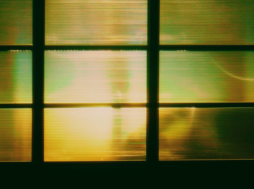 _DSC9236~4