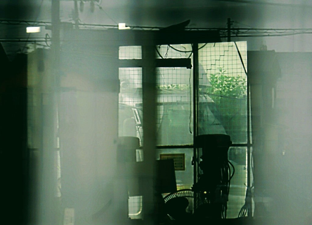 _DSC0351~2