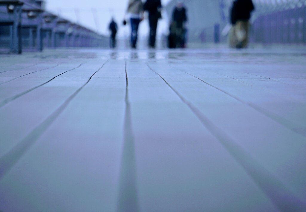 _DSC8824~2