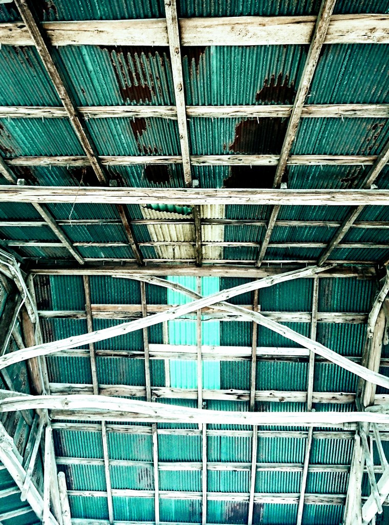 DSC_0005~2