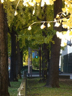 DSC05810