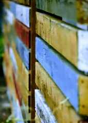 _DSC0260~4