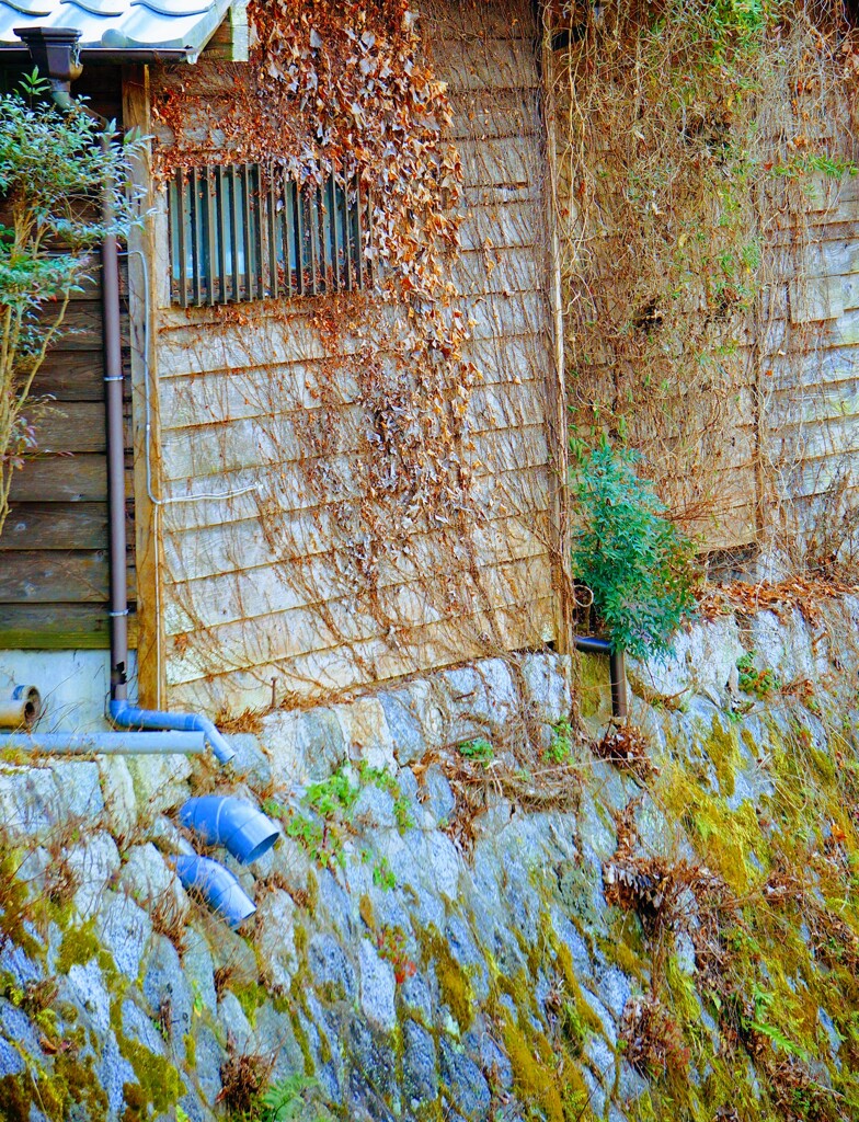 DSC09717~2