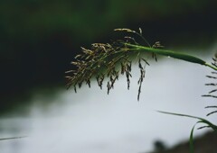 _DSC0641~2