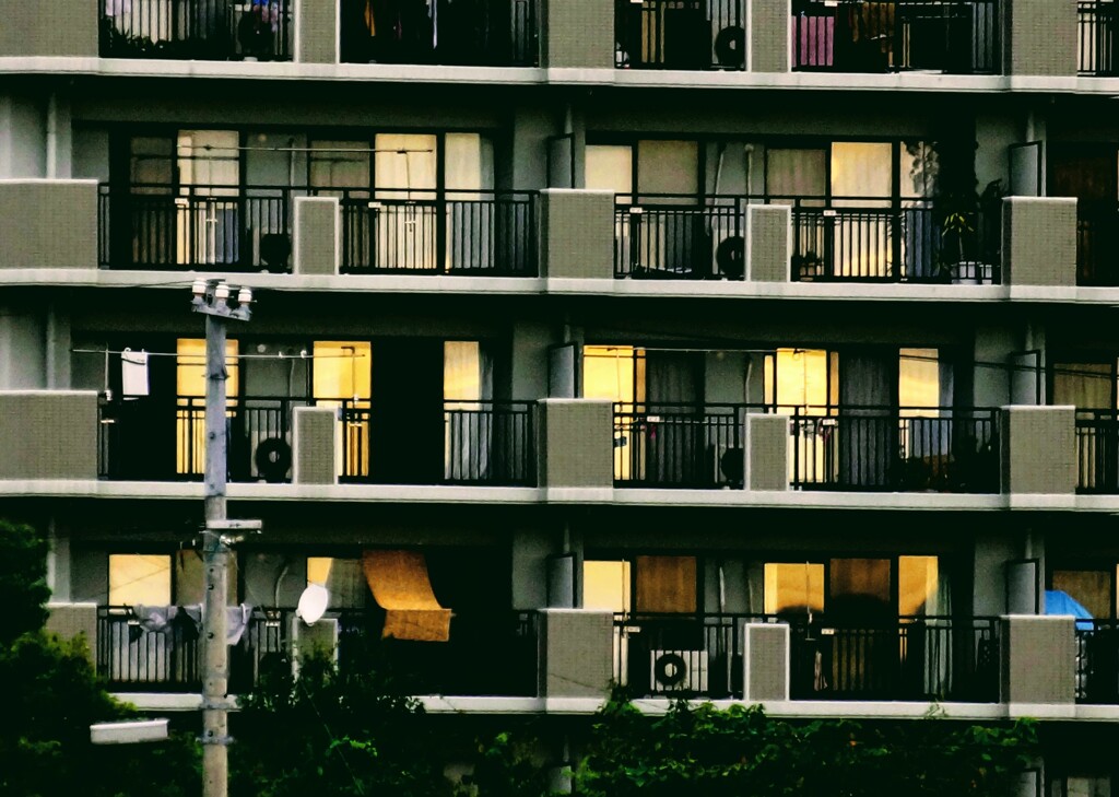 画一化