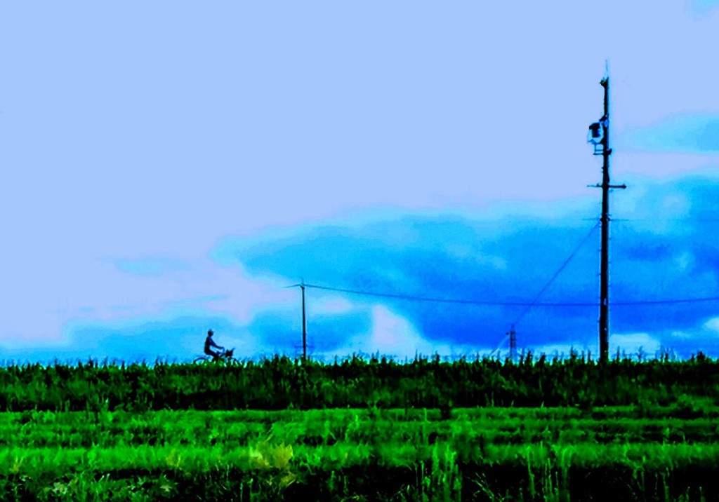 DSC_0022~3