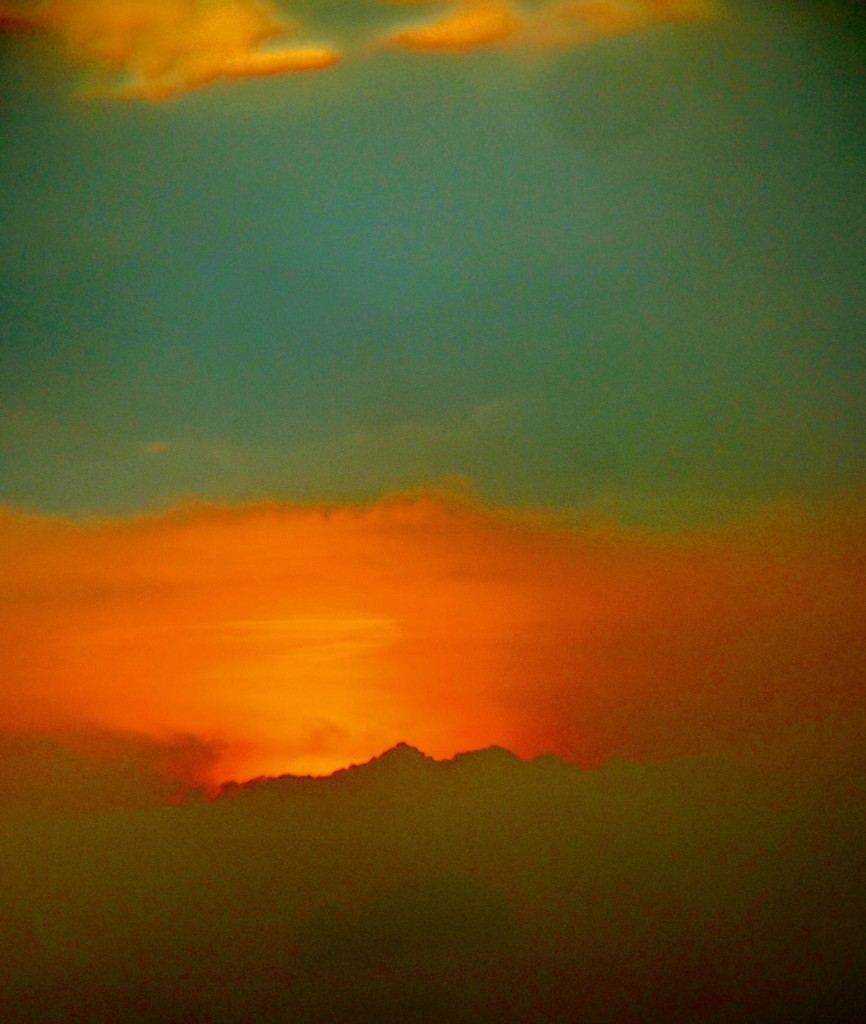 DSC_0115~3