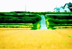 _DSC0196~3