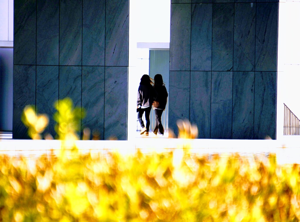_DSC8715~2
