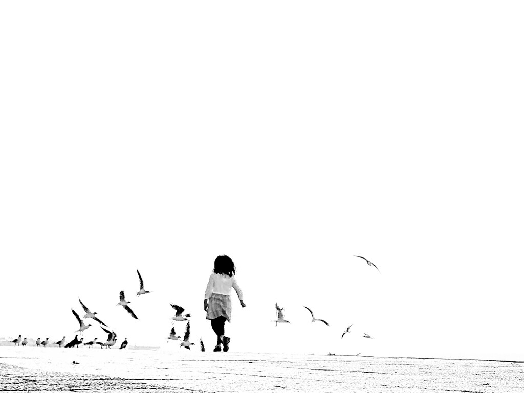 DSC_0168~2