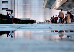 DSC06383~2 DSC06383~2