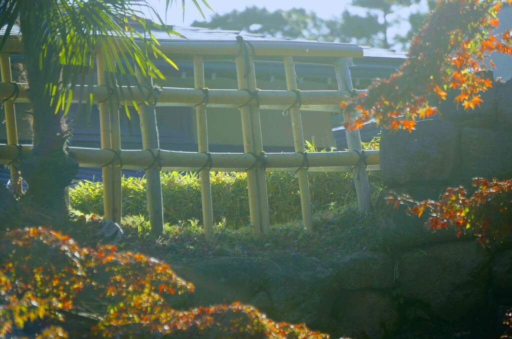_DSC9001~2