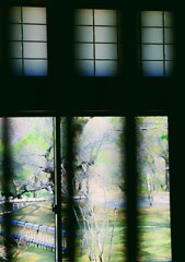DSC03517