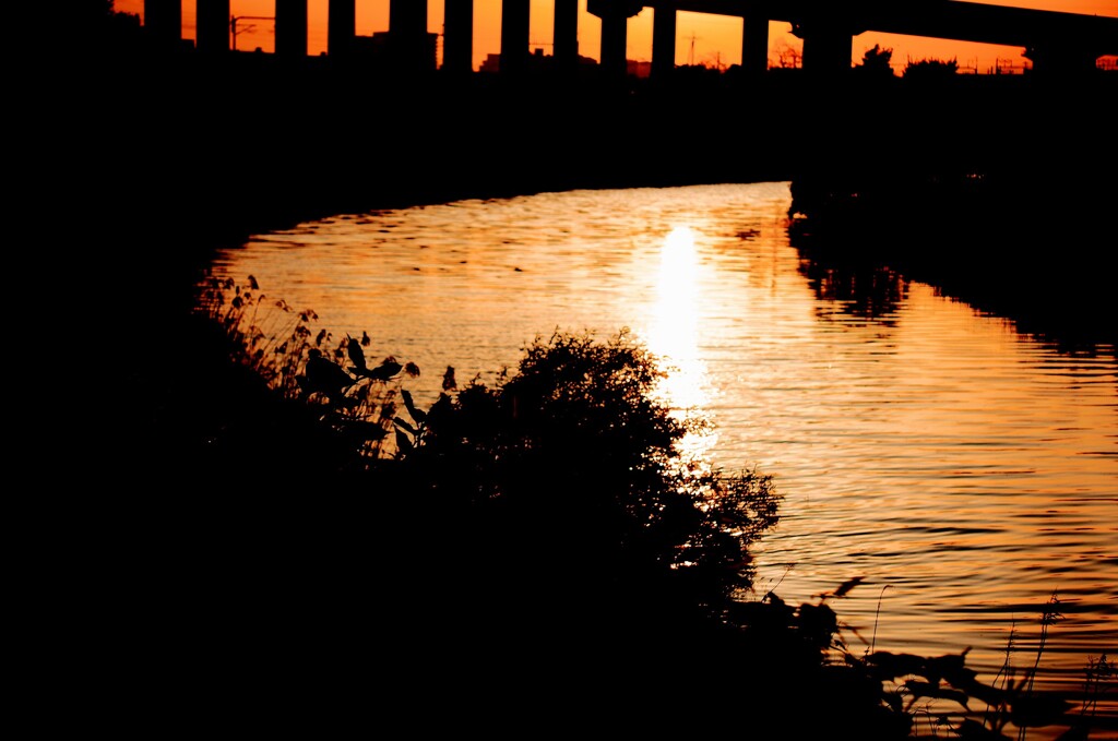 DSC09902~2