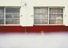 _DSC0012~2