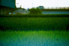 DSC07731~2