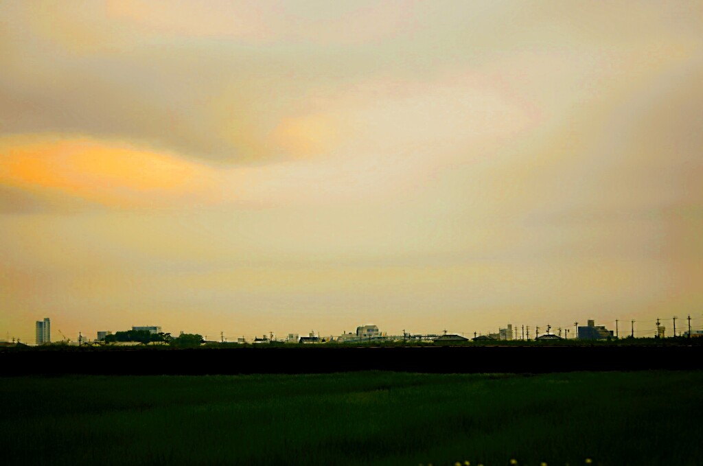 _DSC0705~2