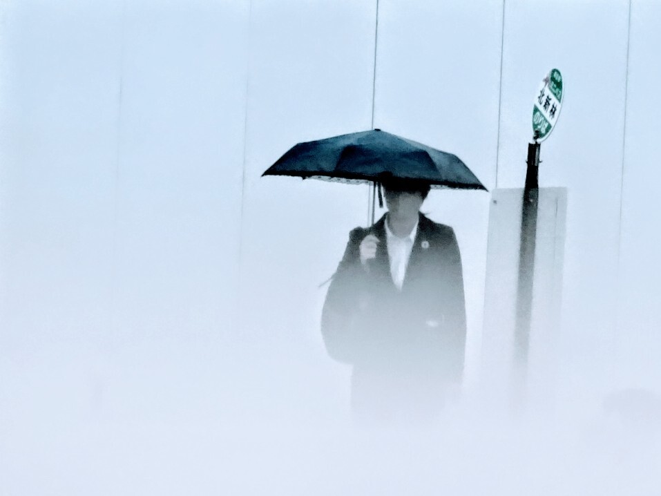 雨の朝