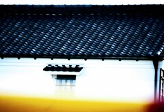 _DSC0399~2