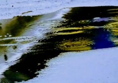 _DSC0629~4