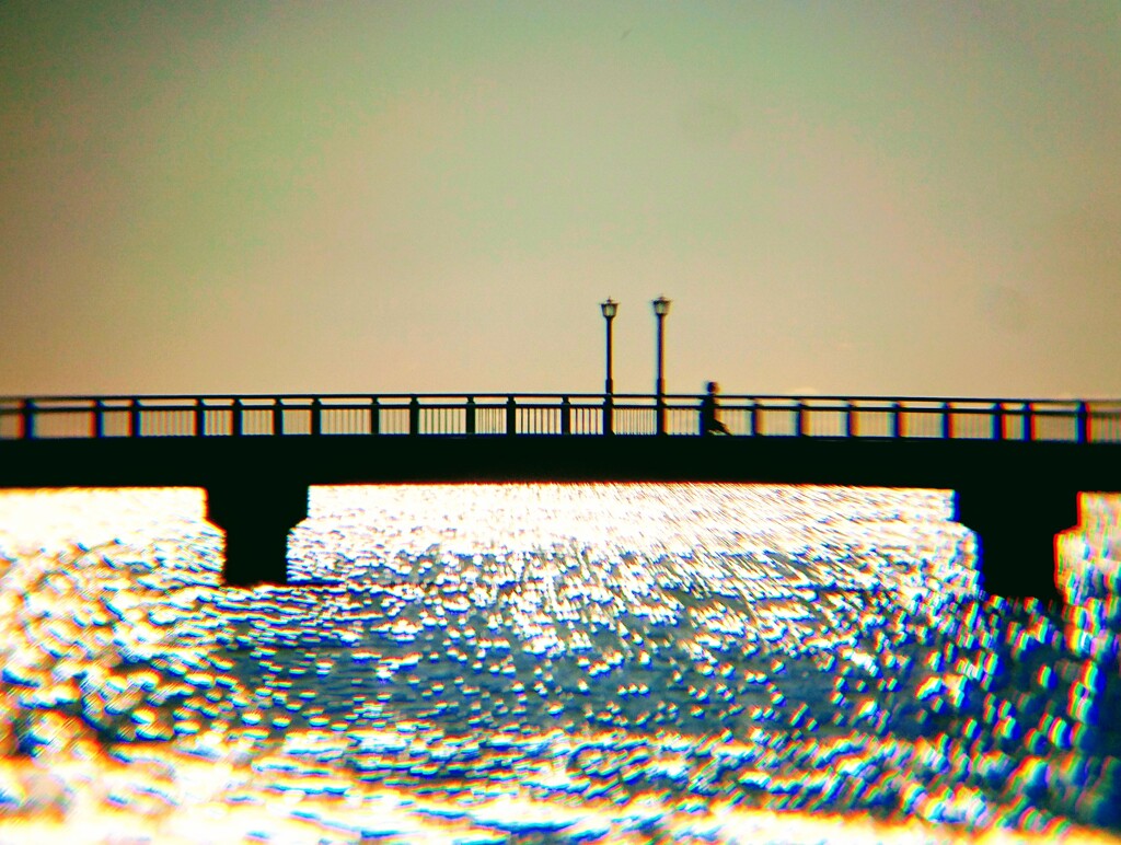 DSC_0036