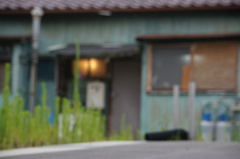 DSC07421