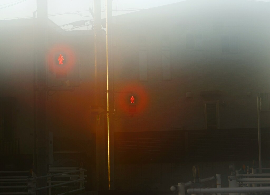 _DSC0026~2