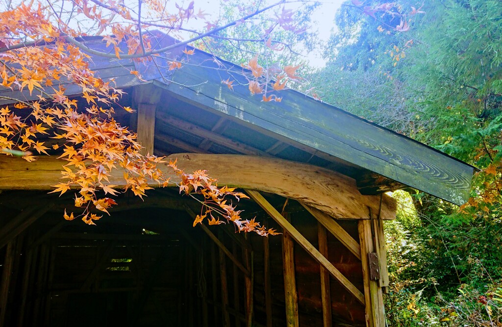 DSC_0013~2