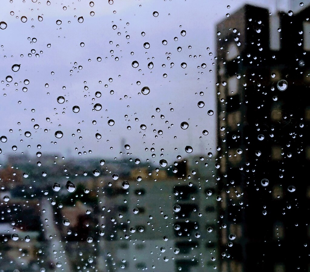 DSC_0010~2