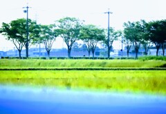 _DSC0484~2