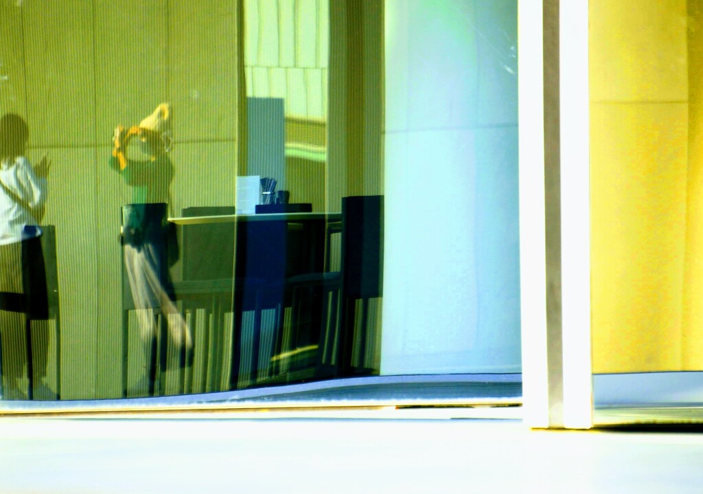 _DSC8738~2