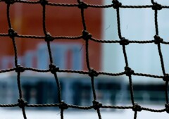 _DSC0499~2