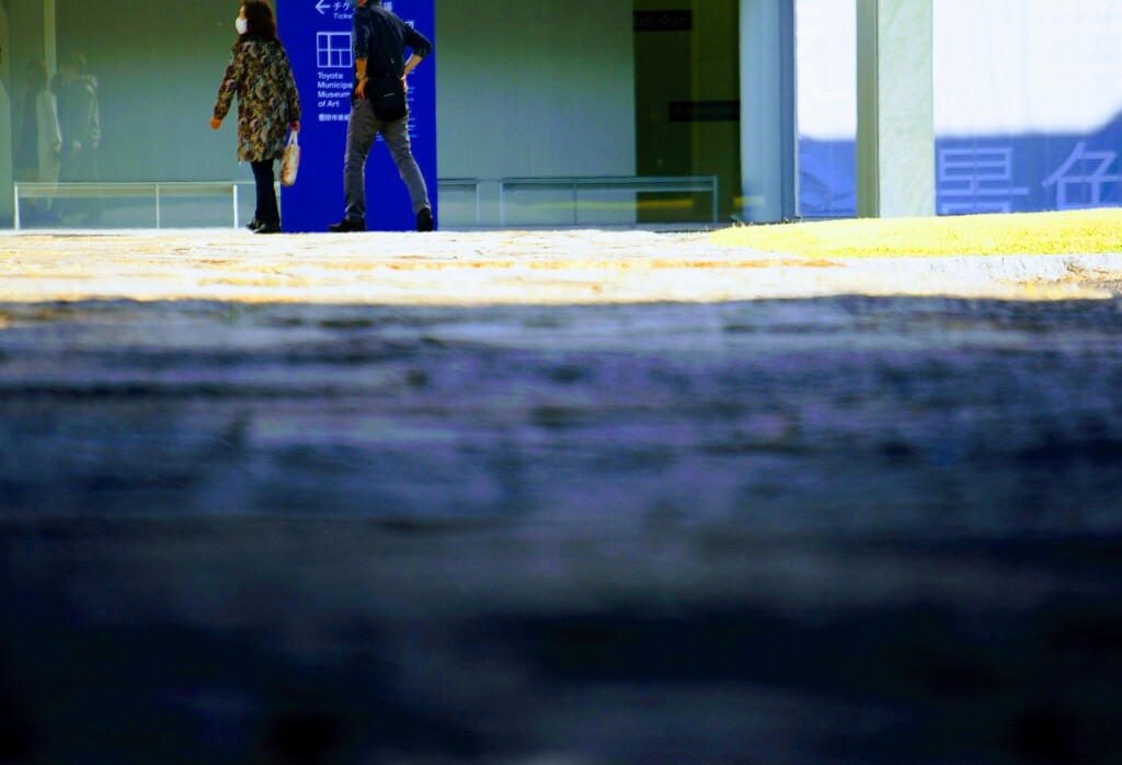 _DSC8689~2