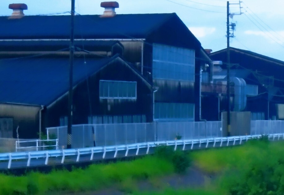 DSC05527
