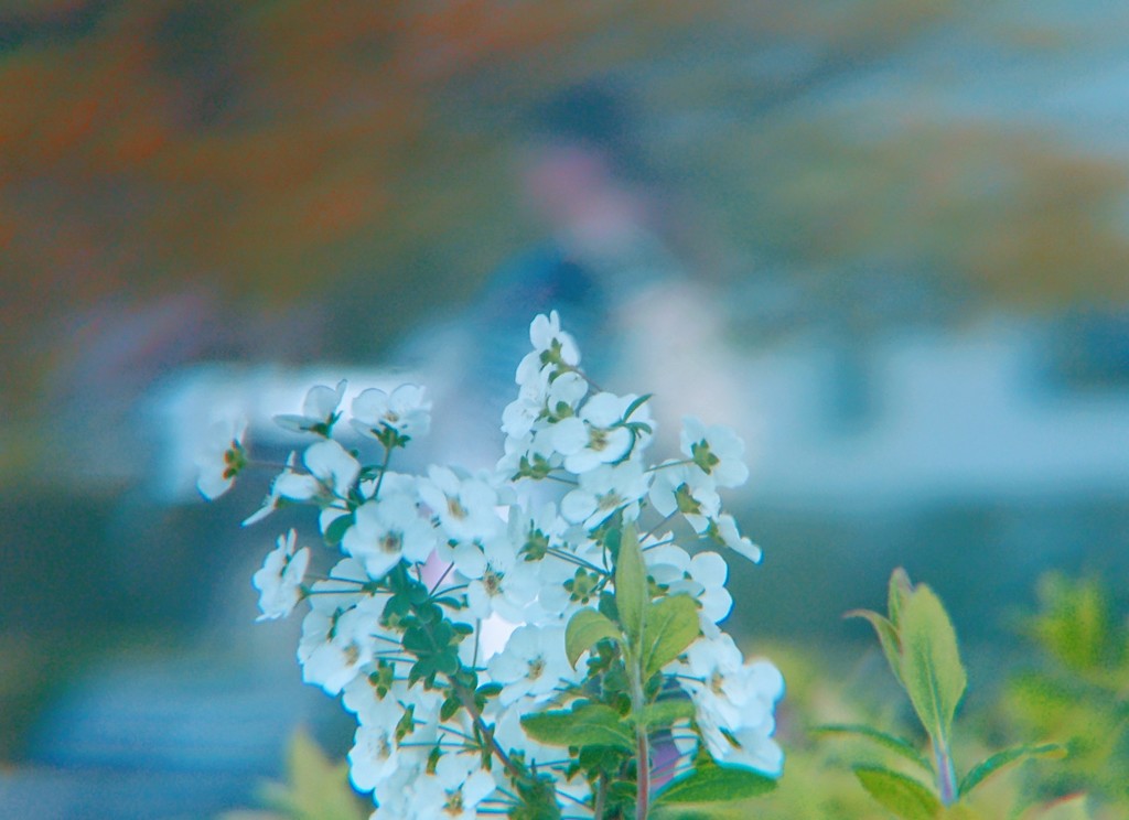 DSC_0101~2