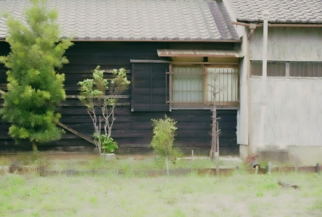 _DSC0022~2