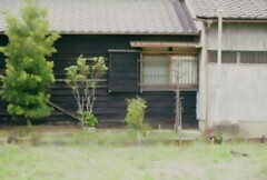 _DSC0022~2