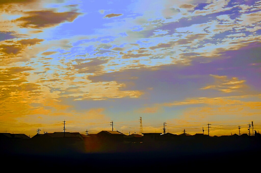 _DSC0575~3