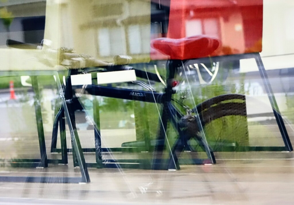 _DSC0825~2