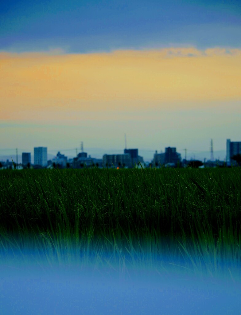 _DSC8103~2