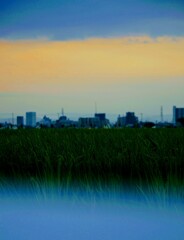 _DSC8103~2
