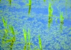 _DSC0368~2