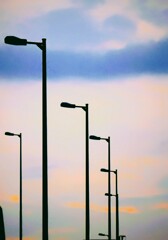 _DSC0703