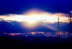 DSC03544