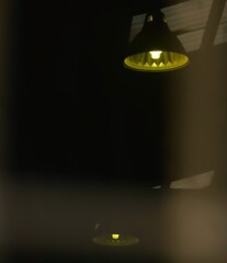 _DSC0230~2