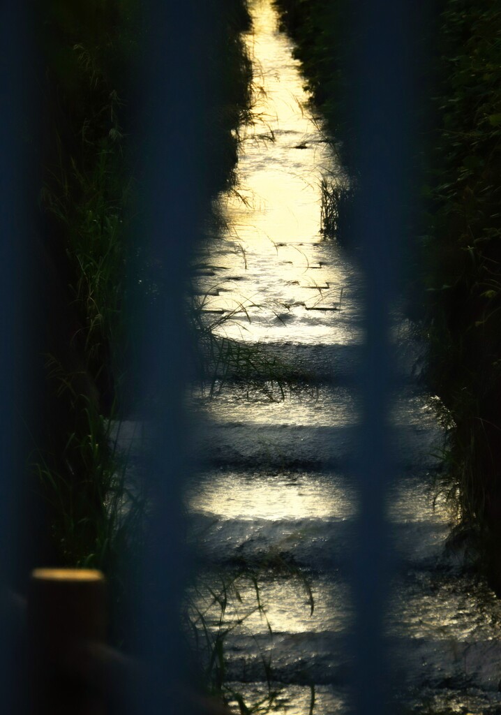_DSC0786~2