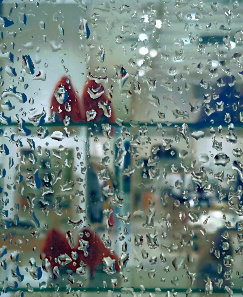 DSC_0077~2