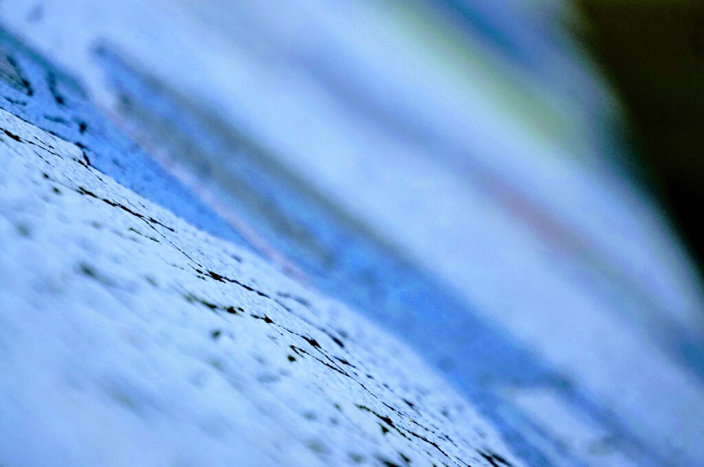 _DSC8763~2